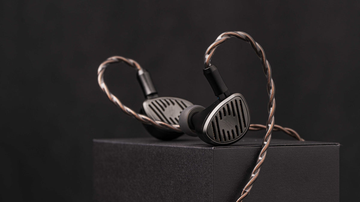 Flagship IEM guide