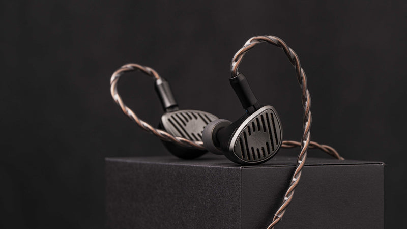 Flagship IEM guide