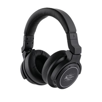 Kiwi Ears Aventus