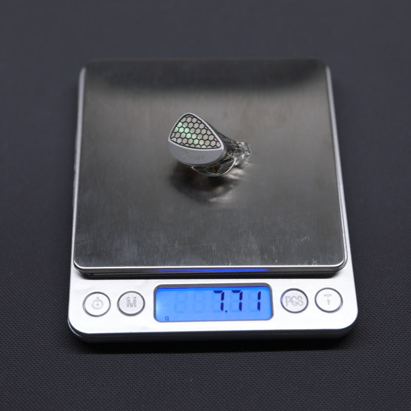 Kiwi Ears Orchestra II